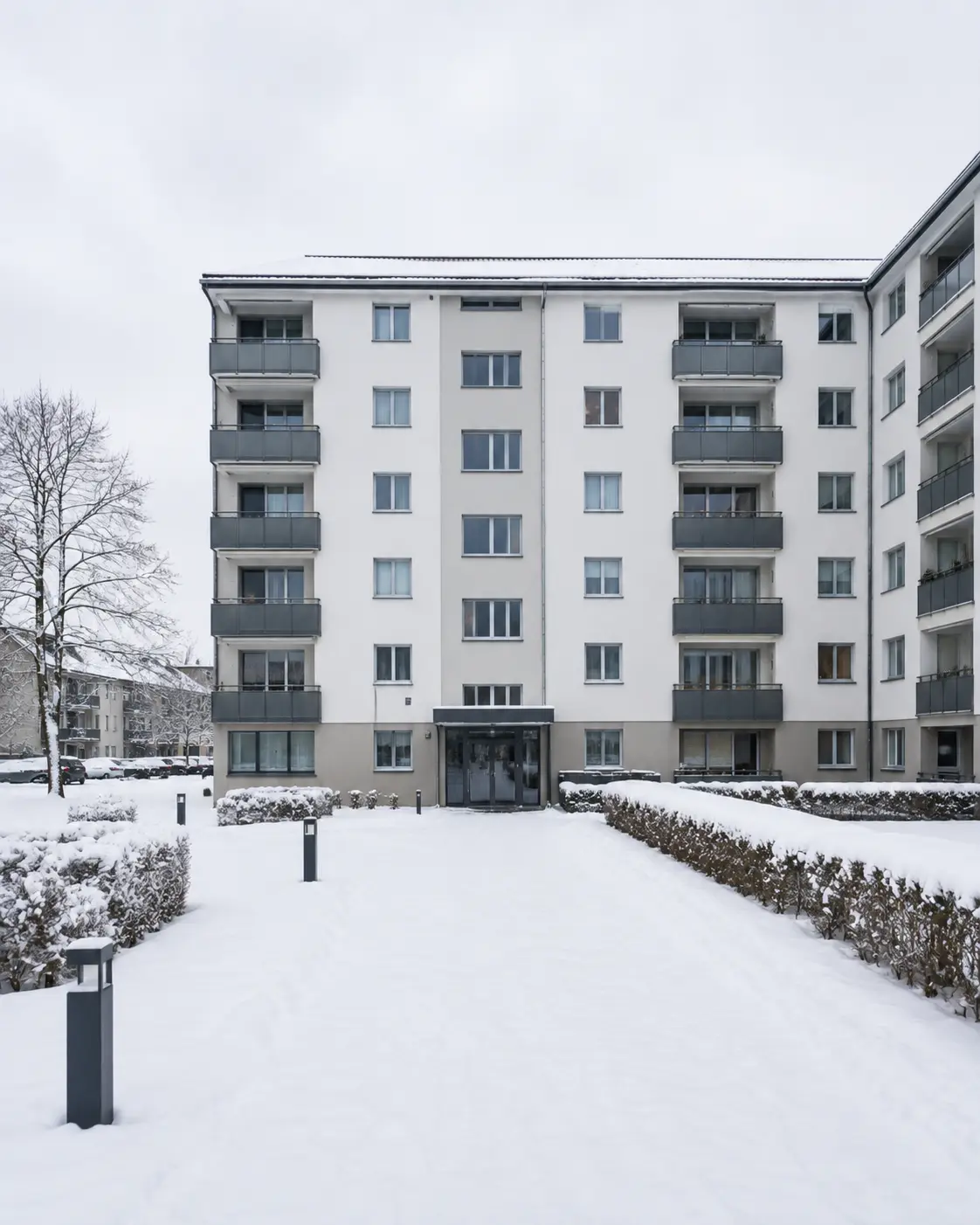 Ein verschneiter Weg am frühen Morgen